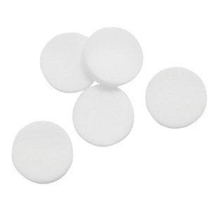 BW GA-PFMAX-100 Particulate Pump Filter (thin)