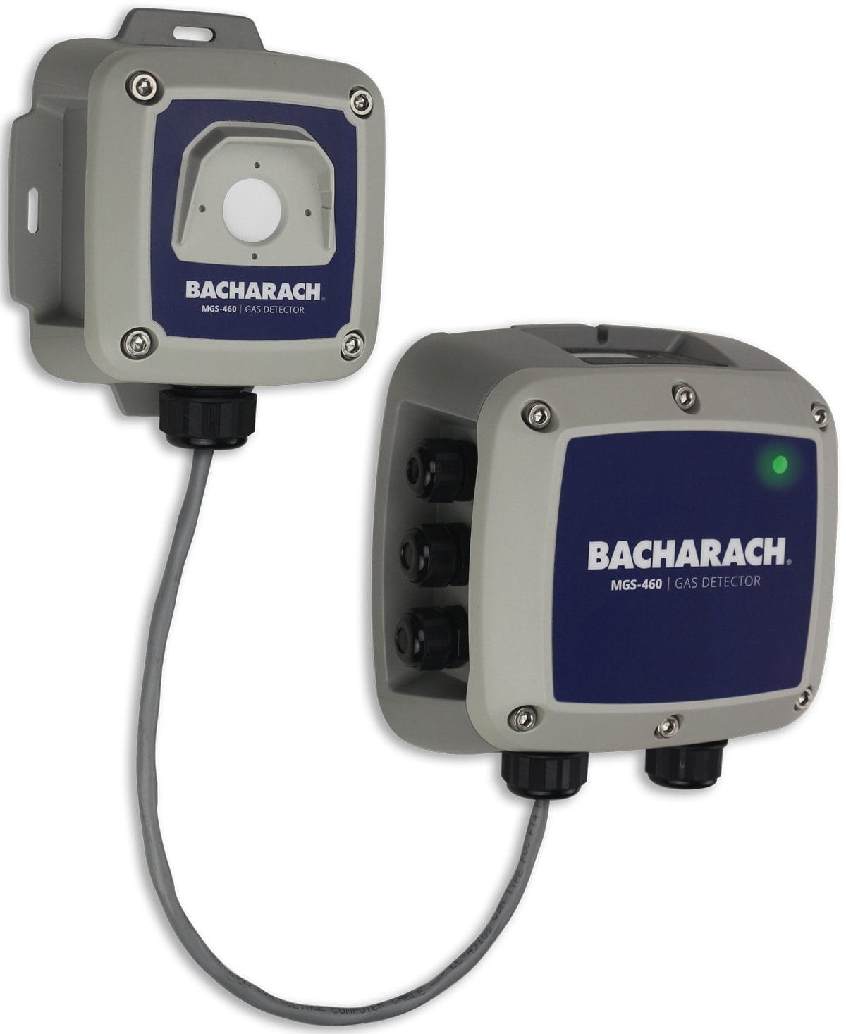Bacharach_6302-4069-IMG01