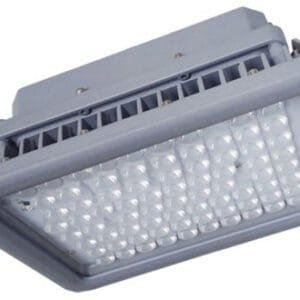 Ericson 1009-HAZ-80 - Hazardous Location Light, 80W, No Reflector 120° Beam with Trunnion