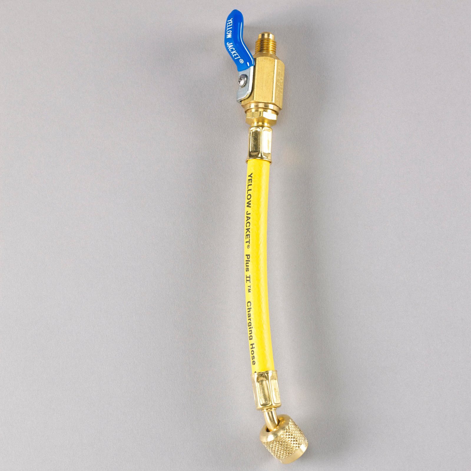 Yellow_Jacket_25002