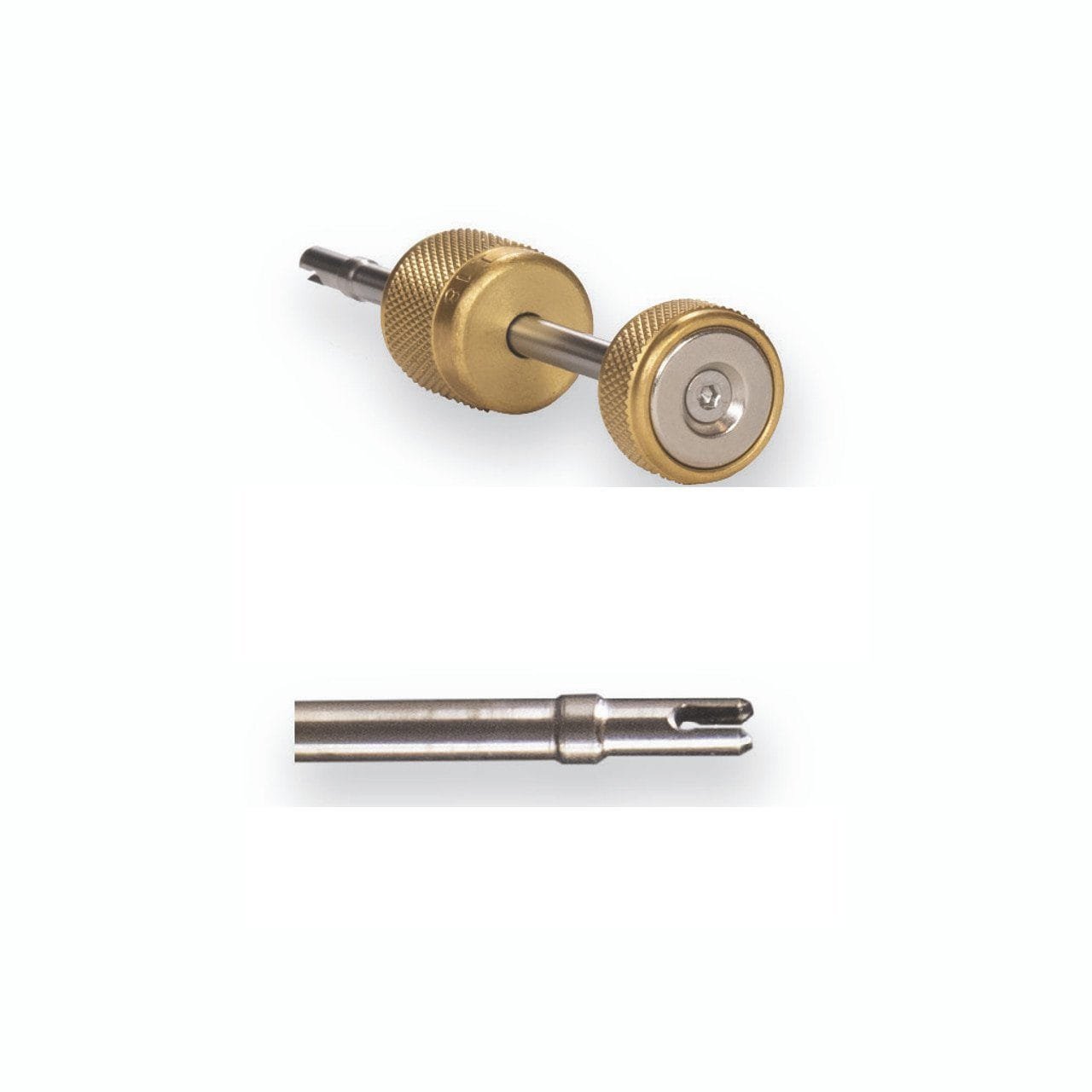 appionAY0539_front2_1222