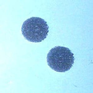 Hakko B1059 - Pack Exhaust Filter for 470/472/702/703/472B/472D