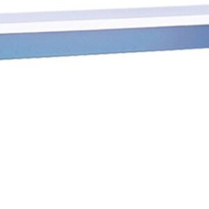 IAC Industries QS-1020195-D - Workmaster Instrument Shelf, 21.25"H x 15"D x 96"L, ESD, Sky Blue