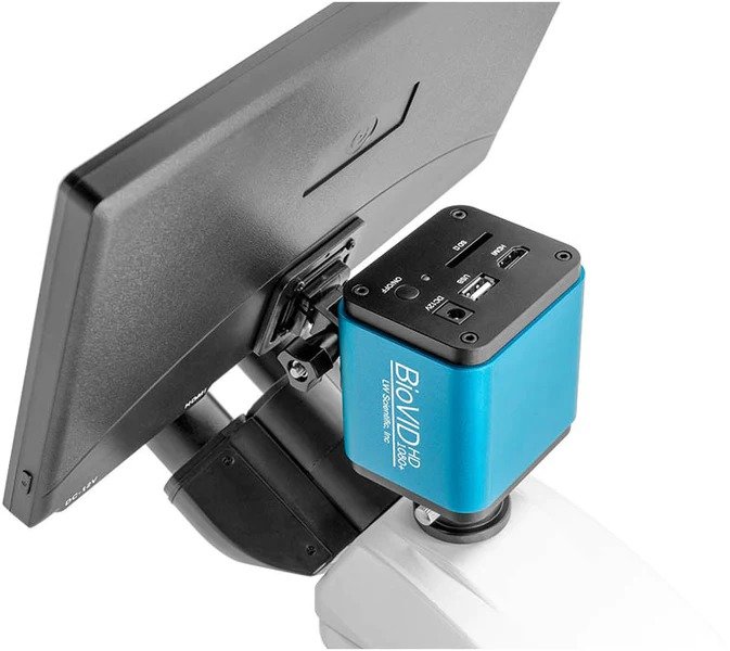 LW_Scientific_BVP-SCRN-1163_Image_B