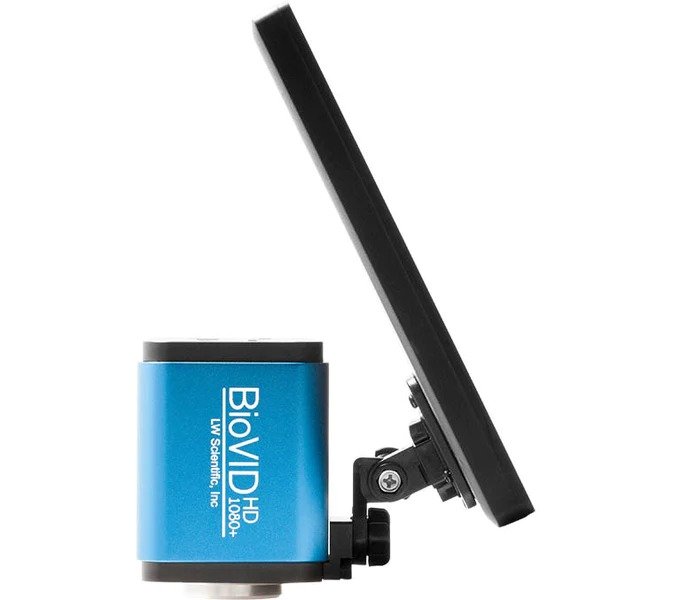 LW_Scientific_BVP-SCRN-1163_Image_C