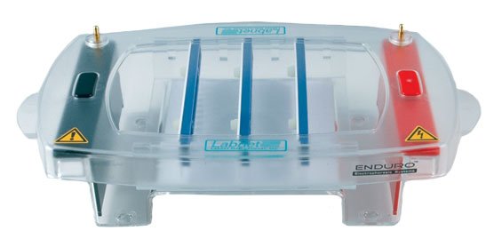 Labnet-ENDURO-10-10