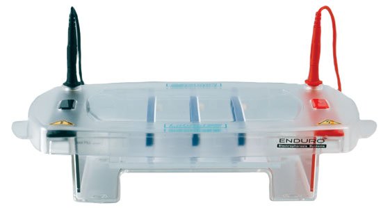 Labnet International E1015-15 Enduro 15.15 Horizontal Gel Box 15 x 15 cm