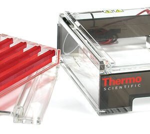 Thermo Scientific Owl D3-14 - Wide Gel Electrophoresis System, 25-200 samples, 800 mL