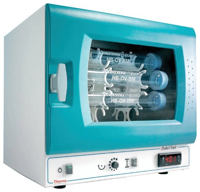 Thermo-6241-Image01