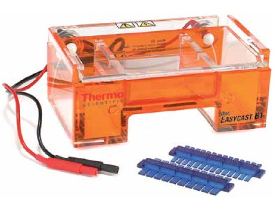 ThermoOwl-EasyCast-B1-BP