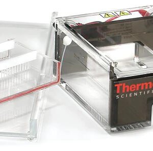 Thermo Scientific Owl D2-BP - Wide-Gel Electrophoresis System, Buffer Exchange Ports, 10-80 samples, 600 mL