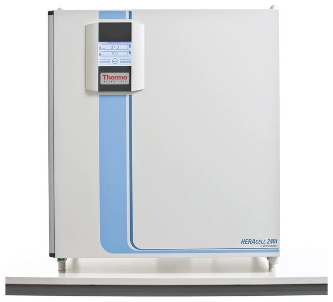 Thermo_Heracell_240i_SS_120V