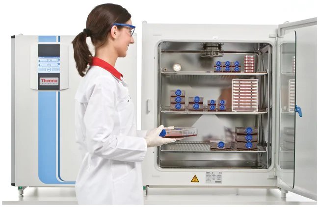 Thermo_Scientific_HERAcell_150i_Direct_Heat_CO2_incubator_Inside_View