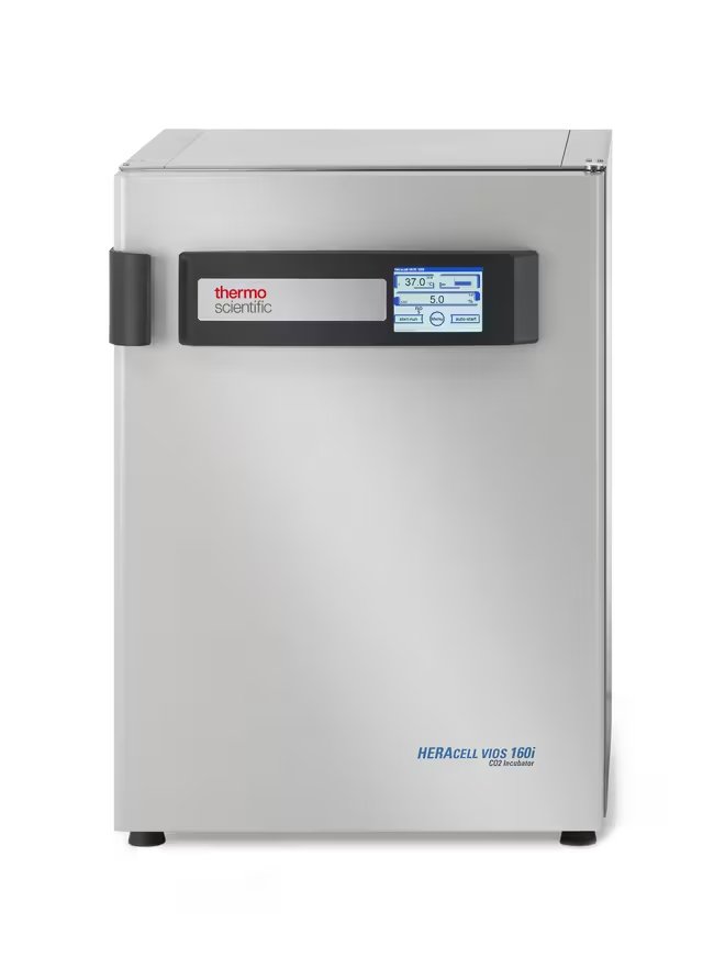 Thermo_Scientific_Heracell_VIOS_160i_Closed-Straight