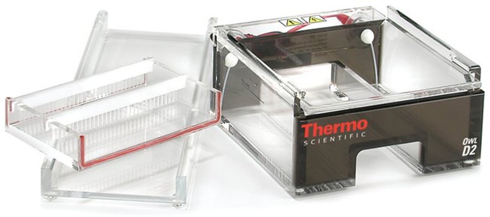 Thermo_Scientific_Owl_D2_Wide-Gel_Electrophoresis_System