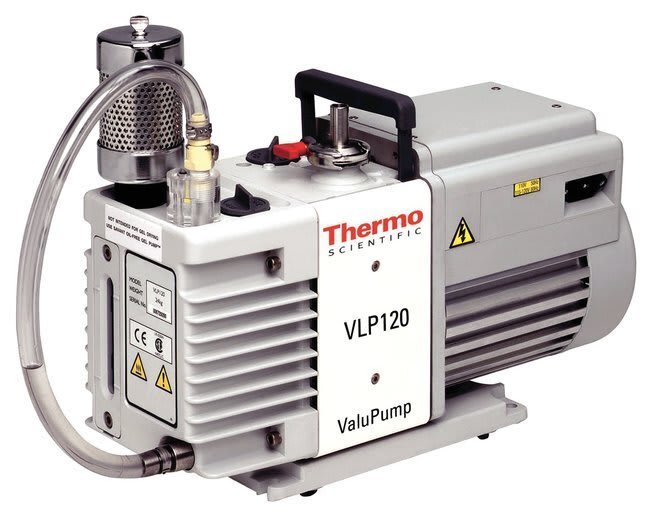 Thermo_Scientific_VLP195FD-115_01