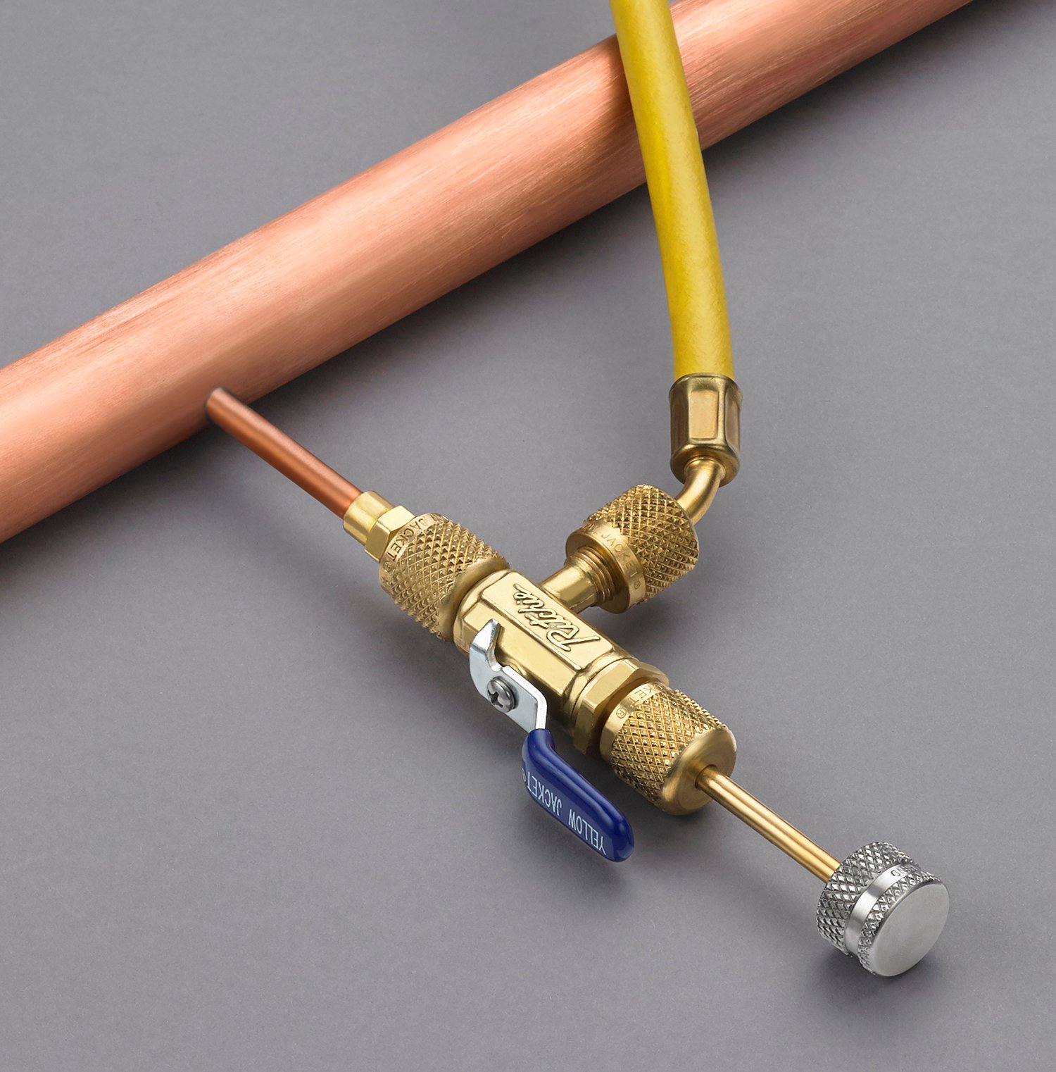 Yellow_Jacket_69111_Image_1